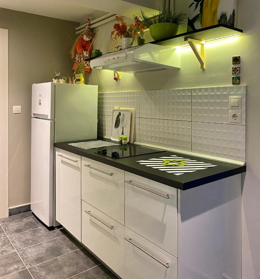 Paneon Apartments Nea Iraklitsa المظهر الخارجي الصورة